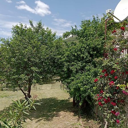 Apartment Natali Kaštel Stari Kültér fotó